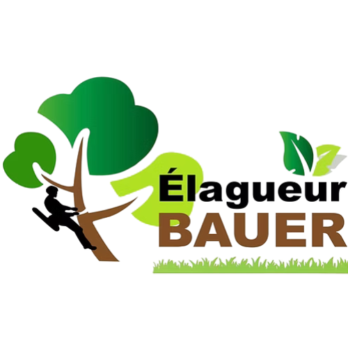 Elagueur